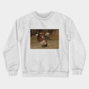 Red-tailed Hawk in Flight Crewneck Sweatshirt